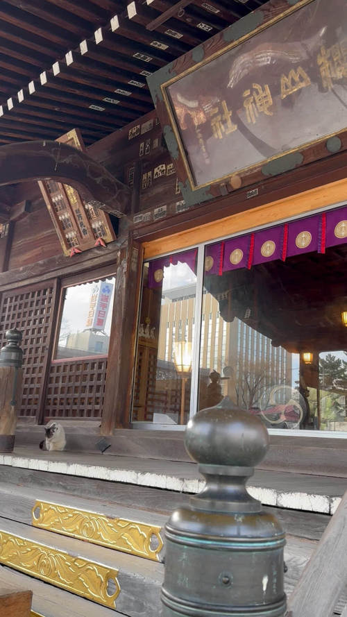 S��E������i