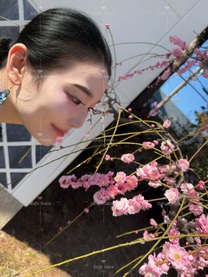 ���ε����β���