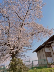 �u���O�摜