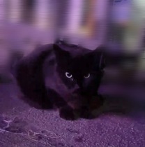 ���ε����β���