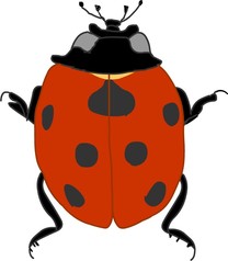 �u���O�摜