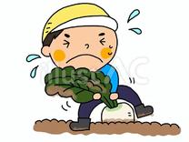 �u���O�摜