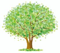 �u���O�摜