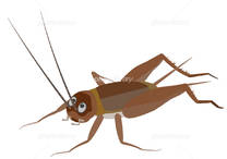 �u���O�摜