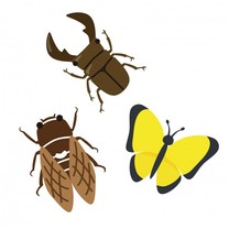 �u���O�摜