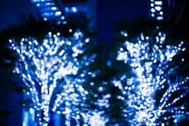 �u���O�摜