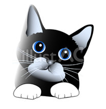 �u���O�摜