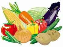 �u���O�摜