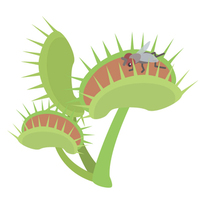 �u���O�摜