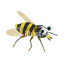 �u���O�摜