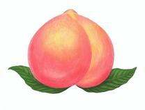 �u���O�摜