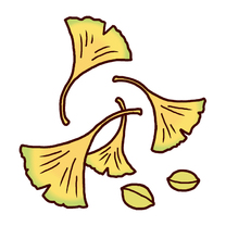 �u���O�摜