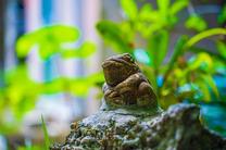 �u���O�摜