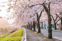 �u���O�摜