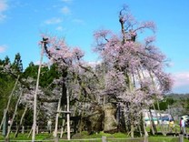 �u���O�摜