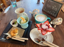 �u���O�摜