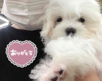 ?肪...