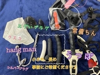 ���K�̏Љ�