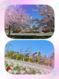 �u���O�摜