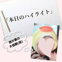 �u���O�摜