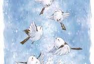 �u���O�摜