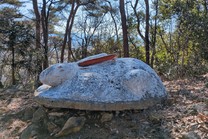 ���ε����β���