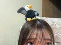 12���o�Η\��