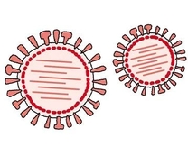 �a�@(�L-��-�M)