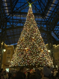 ���v���Ԃ�ł�