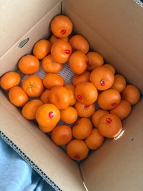 �o�΂��܂�