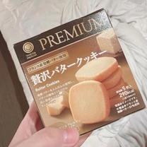 �u���O�摜