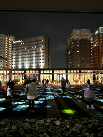 �u���O�摜