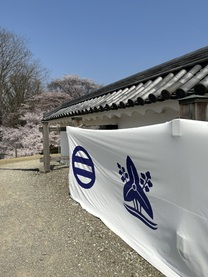 �u���O�摜