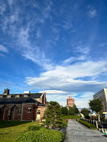 �u���O�摜