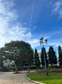 �u���O�摜