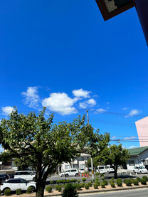 �u���O�摜
