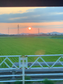 �u���O�摜