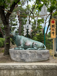 �u���O�摜