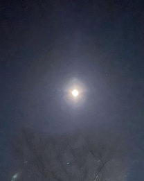 εβ