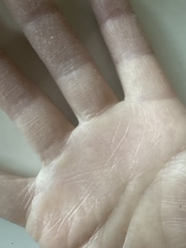 ���͂悤�������܂�