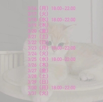 3���㔼�̏o�Η\��ł�...