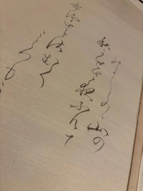̎
