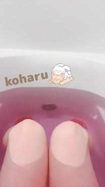 ͂悤...