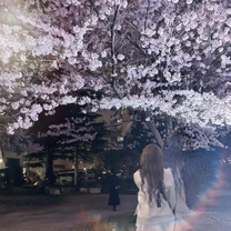 �u���O�摜