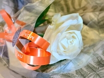 �u���O�摜