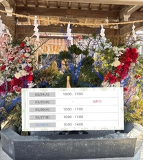 �u���O�摜