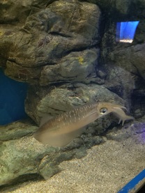 ���ε����β���