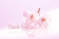 ���ε����β���