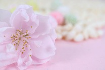 ���ε����β���