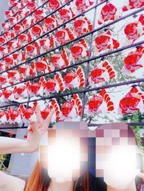 �u���O�摜